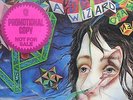 A Wizard, A True Star by Todd Rundgren Vinyl, Bearsville BR 2133 RARE PROMO COPY