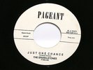 THE SPARKLETONES Just One Chance  JOHNNY GRECO Rocket Ride  Pageant Reissue