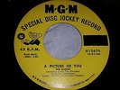 Early Rock N Roll The Elgins - A Picture Of You 45 on MGM Promo VG++