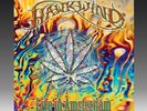 hawkwind - live in Amsterdam  2015  7