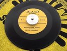 THE ECHO VALLEY BOYS 45 WASH MACHINE BOOGIE ON ISLAND 2 GREAT ROCKABILLY