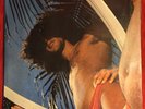 CAETANO VELOSO ARACA AZUL BRAZIL LP PHILIPS 1975 TROPICALIA PSYCH ORIGINAL RARE