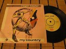 Roger Taylor - My Country Single 7