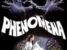 Phenomena Original Soundtrack LP Goblin OST Italian Horror Argento AMS