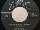 ROCKABILLY Alan Riddle THE MOON IS CRYING Zirkon 45 rare Canadian pressing