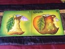 CATAPILLA LP CATAPILLA GERMAN ORIGINAL VERTIGO SPIRAL U.K COVER NEAR MINT