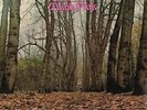 TWINK - THINK PINK - BRAND NEW 180 GRAM VINYL RE-ISSUE ON SUNBEAM + BONUS CD