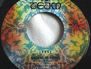 THE SHADOWS OF KNIGHT   SHAKE ** 1969 US TEAM 45