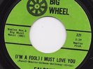 Northern Soul Falcons, (I’m a Fool) I Must Love You