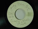 Crosby, Stills & Nash (one sided test press 45) JUDY BLUE EYES   Atlantic VG+