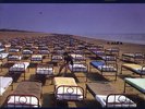 Pink Floyd ? A Momentary Lapse Of Reason vinyl LP Near Mint condition