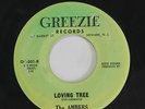 AMBERS: Loving Tree / Listen To Your Heart 45 (faded label, few tiny tears) Voc