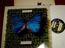 DIE SCHMETTERLINGE DIE LETZTE WELT EXTRAPLATTE DOPPEL-LP 1982