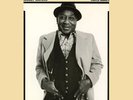 MUDDY WATERS**HARD AGAIN (180G)**VINYL