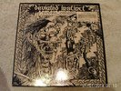 Deviated Instinct Rock n Roll Conformity Vinyl LP Peaceville Records Vile 3 1988