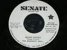 The Basement Wall - Never Existed 1967  American 60`s Garage Senate 45