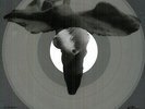 LP Joy Division Love Will Tear Us Apart (Picture Disc)  Vinile Nuovo