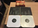 LP VERDENA SOLO UN GRANDE SASSO ORIGINALE 2LP BOS2LP28 ITALY 2001  MINT