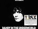 T.Rex-Dandy in the Underworld Vinyl / 12
