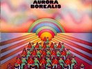 Aurora Borealis  Jigsaw Vinyl Record