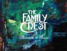 Beneath the Brine [2/25] by The Family Crest (Vinyl, Feb-2014, Tender Loving...