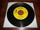 Camel Drivers DETROIT ROCK GARAGE 45 I'm Gonna Make You Mine / The Grass Looks G