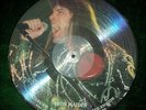 IRON MAIDEN BRUCE DICKINSON PICTURE DISC LIMITED VINYL LP RECORD UK 12