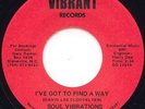 SOUL VIBRATIONS - I've Got To Find A Way / The Dump 7