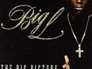 Big L - The Big Picture (1974 - 1999) '00 2xLP US ORG DJ Premier Lord Finesse
