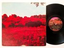 Dave Bryan - Synthesis   Rare 1978 Private Acid Archives Psych- W/Poster & Lyric