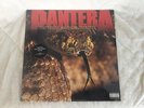 Pantera The Great Southern Trendkill 12