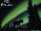 Vital Remains - Into Cold Darkness Vinyl LP Peaceville NEW
