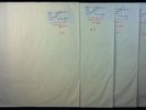 FLAMING LIPS Embryonic 2009 German 4LP 45rpm Test Pressing Unissued Configuratin