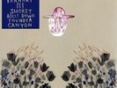 DEVENDRA BANHART-SMOKEY ROLLS DOWN THUNDER CANYON -VINYL LP BEGGARS XL RECO NEU