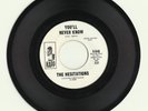 The Hesitations You'll Never Know  You Can't Pass Love 45 DJ VG++  Northern Soul
