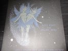 AVEY TARE AND PANDA BEAR Spirit They're Gone They've Vanished 2 LP RARE US PRESS