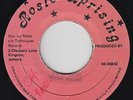 Digi Dancehall Reggae 45 - Peter Metro - The Don - Rosie Uprising - mp3