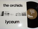 The Orchids Lyceum 10