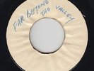 Roots Reggae 45 - Gregory Isaacs - Far Beyond The Valley - Blank - mp3