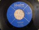 GARAGE INSTRUMENTALS St. John & His Cardinals Rampage on Shurfine mp3