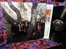 STONE MINT SHRINK 1968 THE GROUP THERAPY   GET READY   VANILLA FUDGE HARD PSYCH