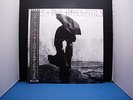 MIKE & THE MECHANICS LIVING YEARS JAPAN