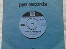 RARE PSYCH MOD 45 Mighty Hard House of the Rising Sun NICE COPY PYE animals