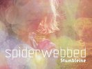 STUMBLEINE Spiderwebbed LP NEW VINYL+CD Monotreme Baths Pretty Lights Dextro Ulr