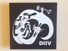 DIIV Oshin LP TOUR PRESS Hand Numbered RARE Mac DeMarco Wild Nothing Soft Moon