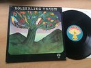 HOELDERLIN HÖLDERLIN'S TRAUM KRAUTROCK KILLER in 1972 MINT PILZ POP IMPORT PRESS
