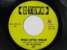 HESITATIONS Wild Little Willie D-TOWN Rare Detroit Rockabilly Garage 45 HEAR
