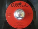 THE THUNDERBOLTS rare There Was I garage rock Canada 45 LISTEN