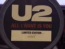 U2 - ALL I WANT IS YOU 7