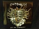 Shpongle - Are you Shpongled?  2 LP Vinyl Record LP excellent condition